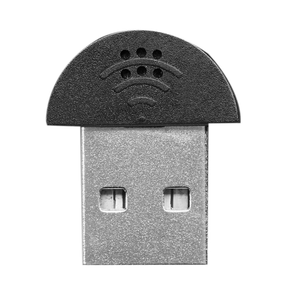 Mini USB Microphone