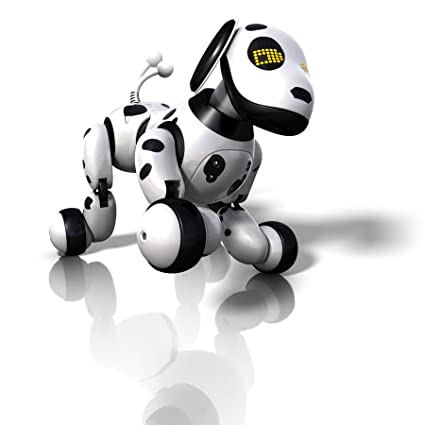 Zoomer Dog
